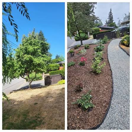 Bare yard revived with planted beds